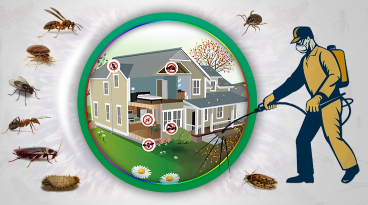 Küçükyalı Böcek İlaçlama